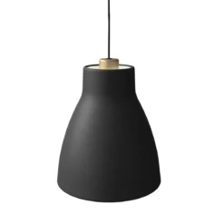 BELID Leuchten No. 1031198086 Pendelleuchte Gong Schwarz Gold 25cm E27