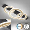 Fischer & Honsel 21435 LED Deckenleuchte Circle sandschwarz blattgoldfarben CCT