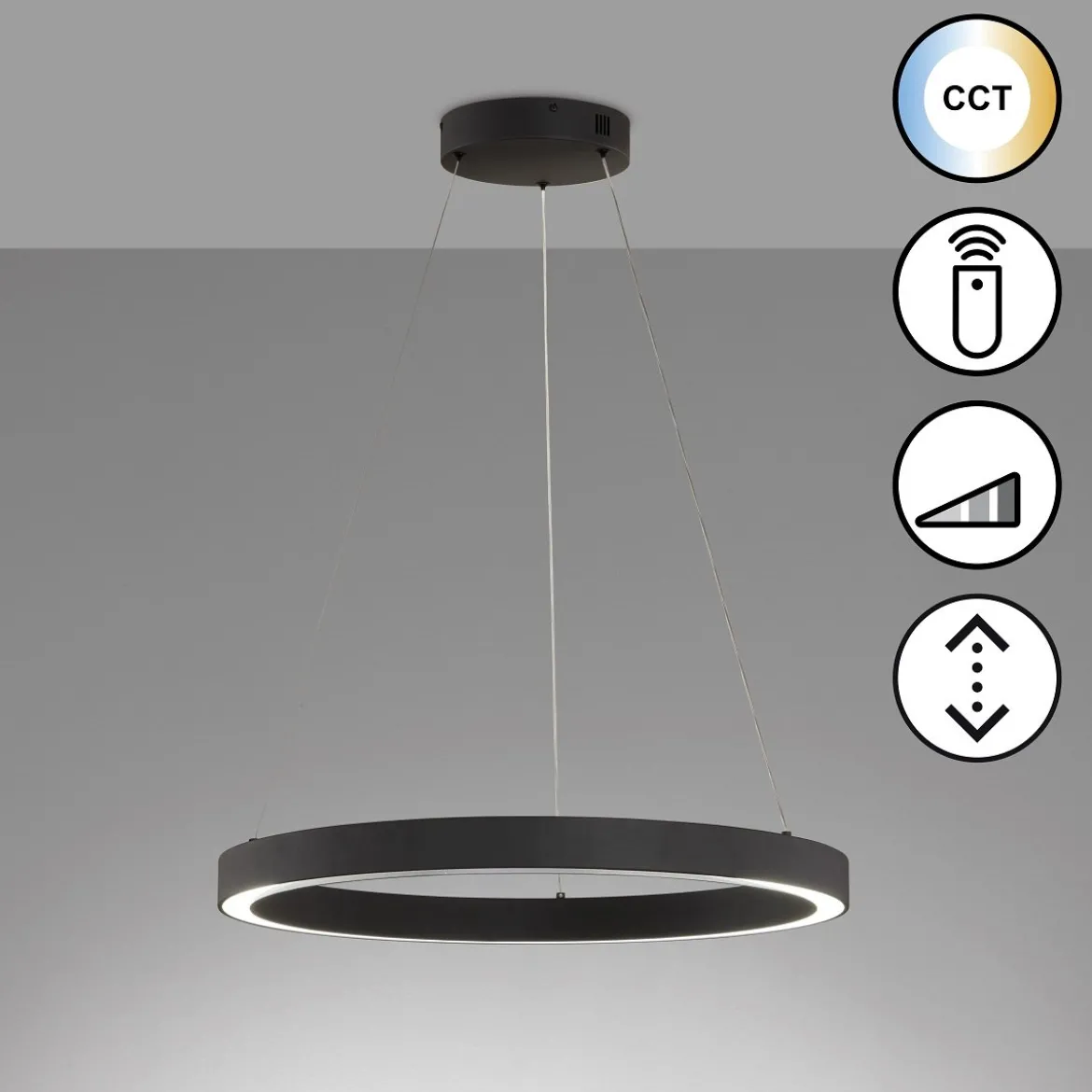 Fischer & Honsel 61049 LED Pendelleuchte Sirko sandschwarz 60cm CCT