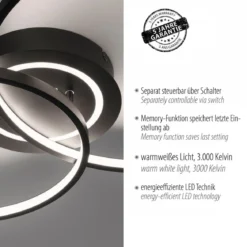 JUST LIGHT 14540-18 ASMINA LED Deckenleuchte 2-flammig schwarz 3000K