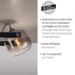 JUST LIGHT 15755-18 CUP 2.0 Deckenleuchte 3-flammig schwarz Rauchglas