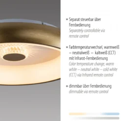 JUST LIGHT 14384-60 Deckenleuchte Vertigo messing matt CCT Kristalleffekt 47cm