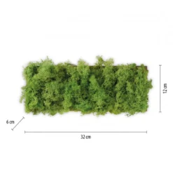 JUST LIGHT 15637-66 GREEN CARLO LED Wandleuchte moos eckig