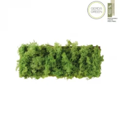 JUST LIGHT 15637-66 GREEN CARLO LED Wandleuchte moos eckig