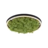 JUST LIGHT 15391-66 GREEN RITUS LED Deckenleuchte Moos 40cm
