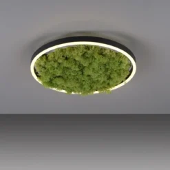 JUST LIGHT 15391-66 GREEN RITUS LED Deckenleuchte Moos 40cm