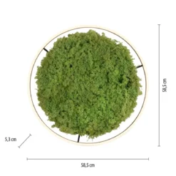 JUST LIGHT 15392-66 GREEN RITUS LED Deckenleuchte Moos 60cm