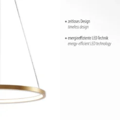 JUST LIGHT 11522-12 LED Pendelleuchte Circle 39cm 3000K Gold