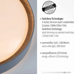 Leuchten Direkt 14347-15 EMILIA LED Deckenleuchte rund grau Holzoptik 40cm