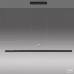 Leuchten Direkt 11660-13 LED Pendelleuchte Luzi anthrazit ausziehbar