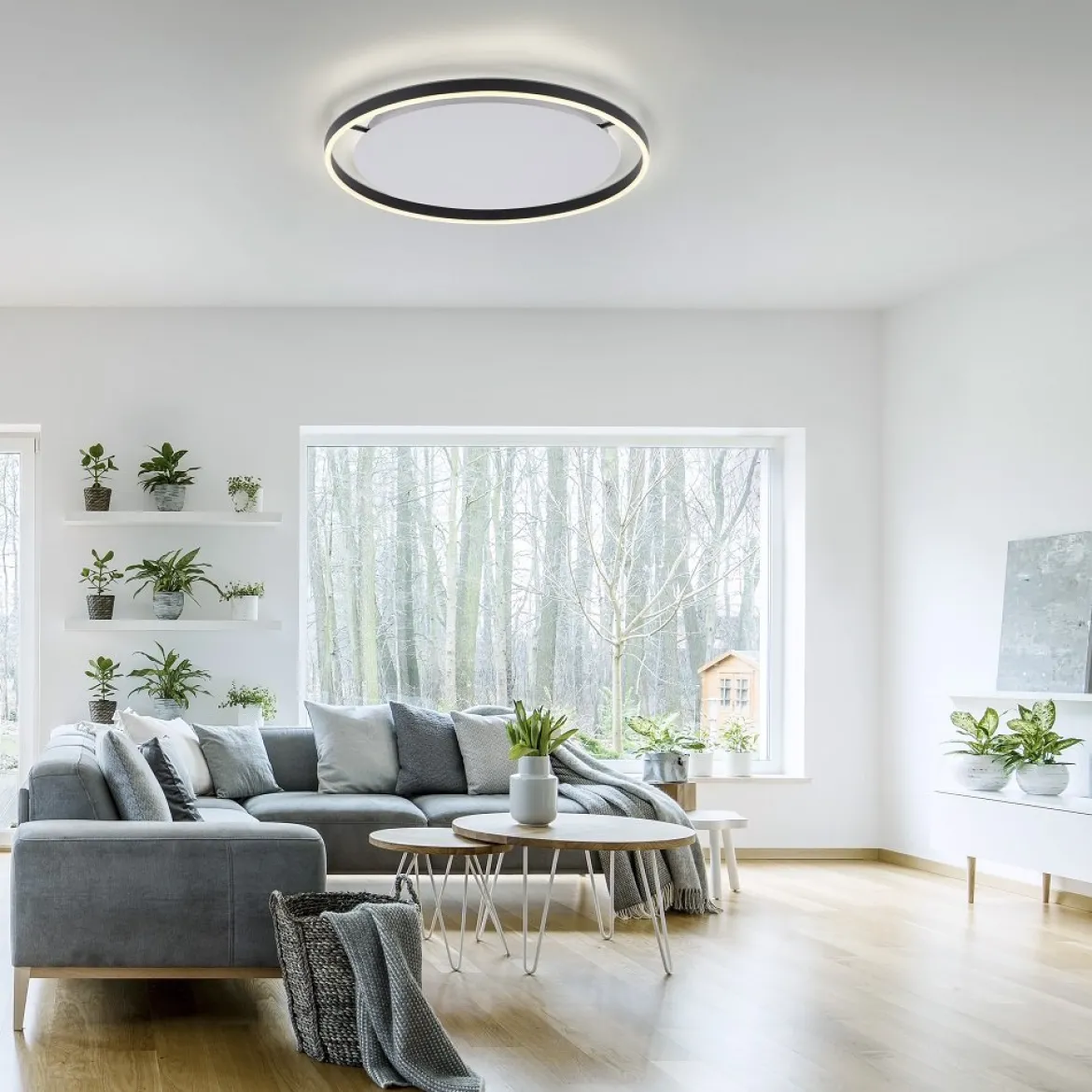 Leuchten Direkt 15392-13 RITUS LED Deckenleuchte Anthrazit rund 60cm