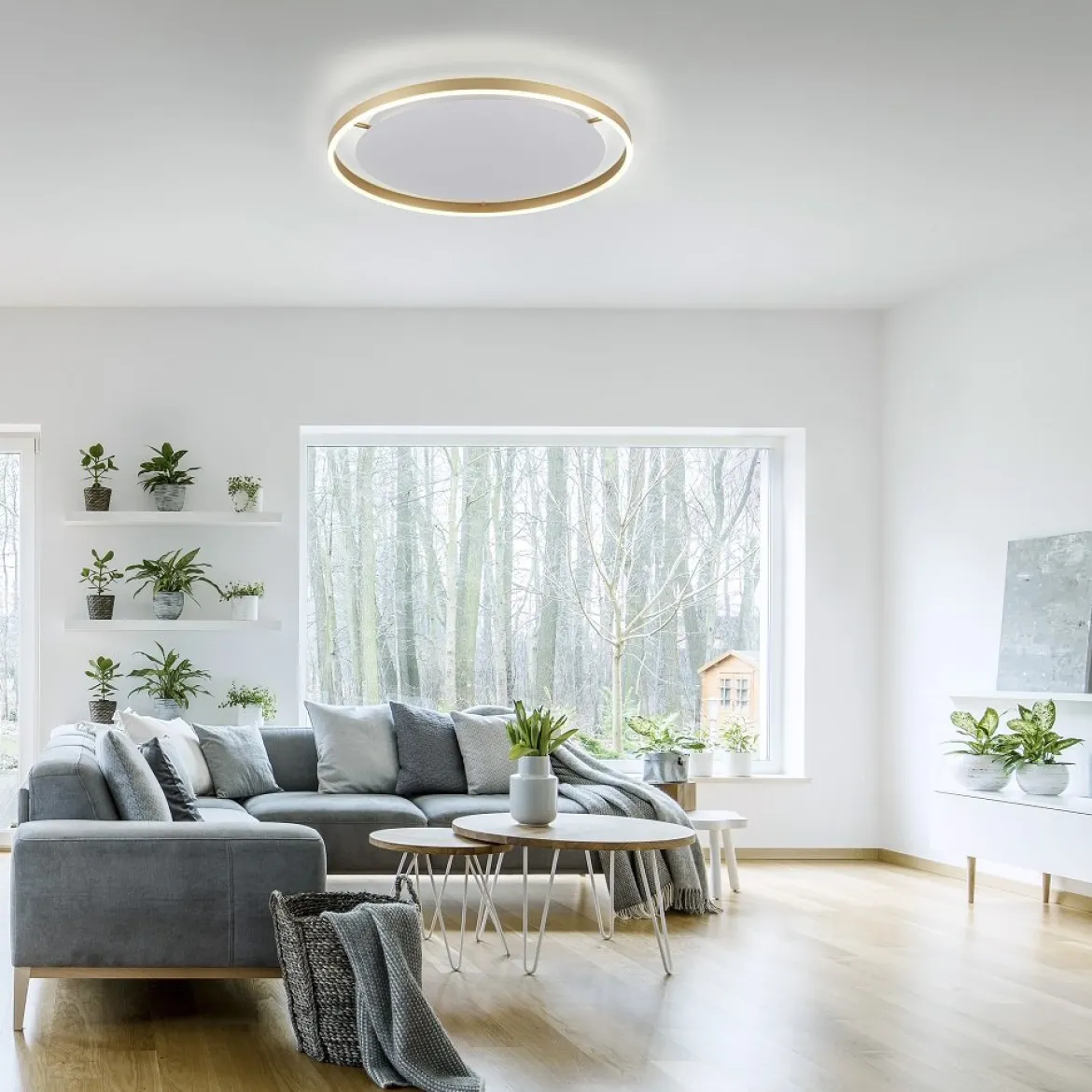 Leuchten Direkt 15392-60 RITUS LED Deckenleuchte Messing Matt rund 60cm