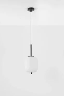 Nova Luce 9624075 LATO Pendelleuchte 16,5cm Schwarz Opal E14