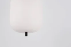Nova Luce 9624075 LATO Pendelleuchte 16,5cm Schwarz Opal E14