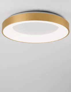 Nova Luce 9353854 RANDO THIN LED Deckenleuchte 60cm 3000K Gold gebürstet dimmbar