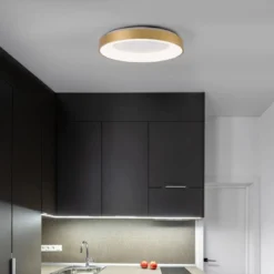 Nova Luce 9353854 RANDO THIN LED Deckenleuchte 60cm 3000K Gold gebürstet dimmbar