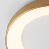 Nova Luce 9353832 RANDO THIN LED Deckenleuchte 38cm 3000K Gold gebürstet dimmbar