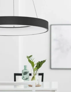 Nova Luce 9453453 RANDO THIN LED Pendelleuchte 60cm 3000K Schwarz dimmbar