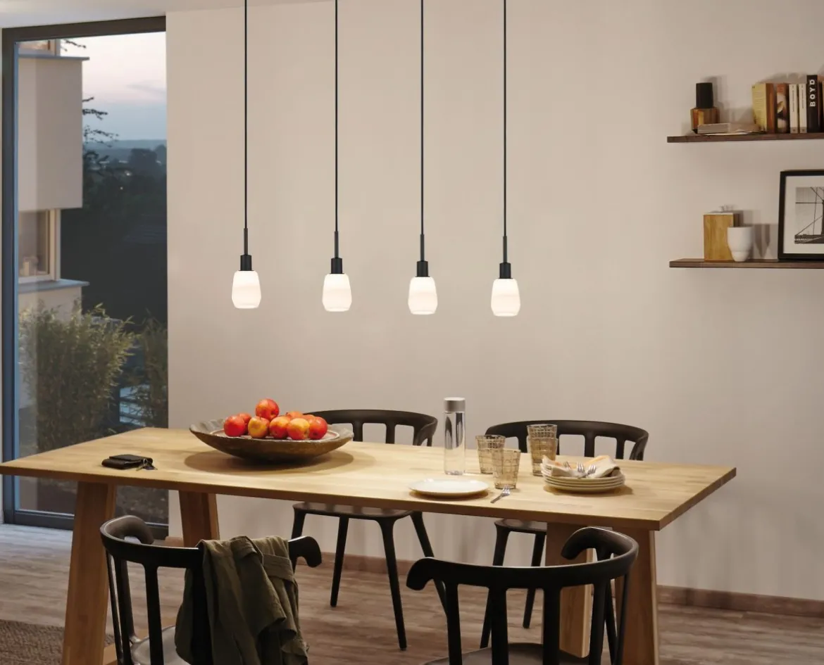 Paulmann Design URail No. 96912 URail DecoSystems Pendel schwarz max.20W E14