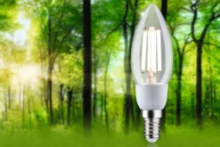 Paulmann 29129 Eco-Line Filament 230V LED Kerze E14 525lm 4000K klar