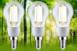 Paulmann 29134 Eco-Line Filament 230V LED Tropfen 3er-Pack E14 525lm 3000K klar