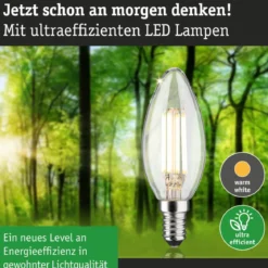 Paulmann 29201 Eco-Line Filament 230V LED Kerze E14 840lm 3000K Klar
