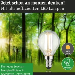 Paulmann 29202 Eco-Line Filament 230V LED Tropfen E14 840lm 3000K Klar