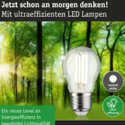 Paulmann 29213 Eco-Line Filament 230V LED Tropfen E27 525lm 2,5W 4000K Klar