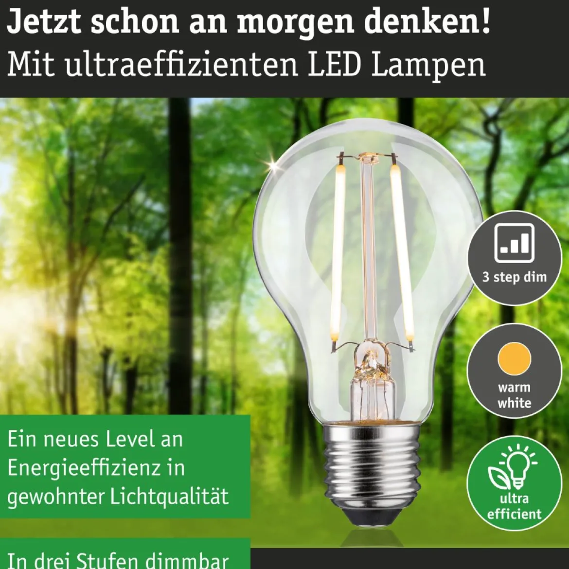 Paulmann 29250 Eco-Line Filament 230V LED Birne E27 470lm 3000K 3-Step-Dim Klar