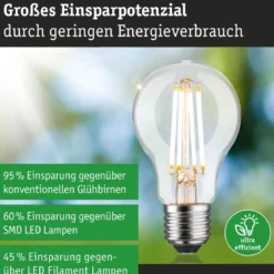 Paulmann 29251 Eco-Line Filament 230V LED Birne E27 806lm 3000K 3-Step-Dim Klar
