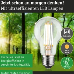 Paulmann 29251 Eco-Line Filament 230V LED Birne E27 806lm 3000K 3-Step-Dim Klar