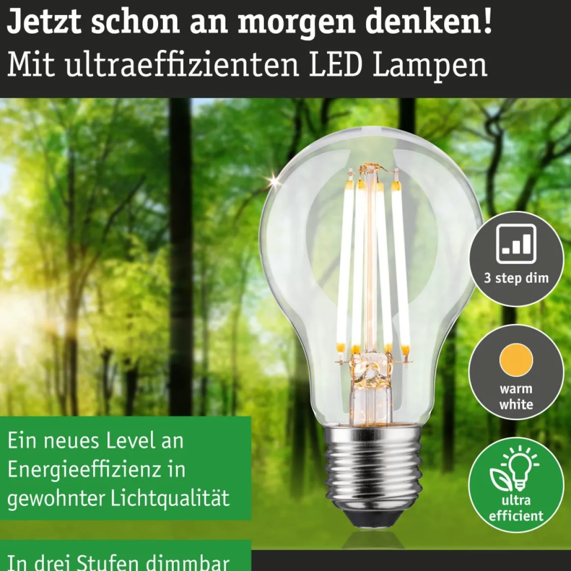Paulmann 29251 Eco-Line Filament 230V LED Birne E27 806lm 3000K 3-Step-Dim Klar