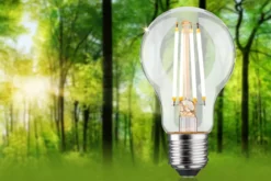 Paulmann 29252 Eco-Line Filament 230V LED Birne E27 1055lm 3000K 3-Step-Dim Klar