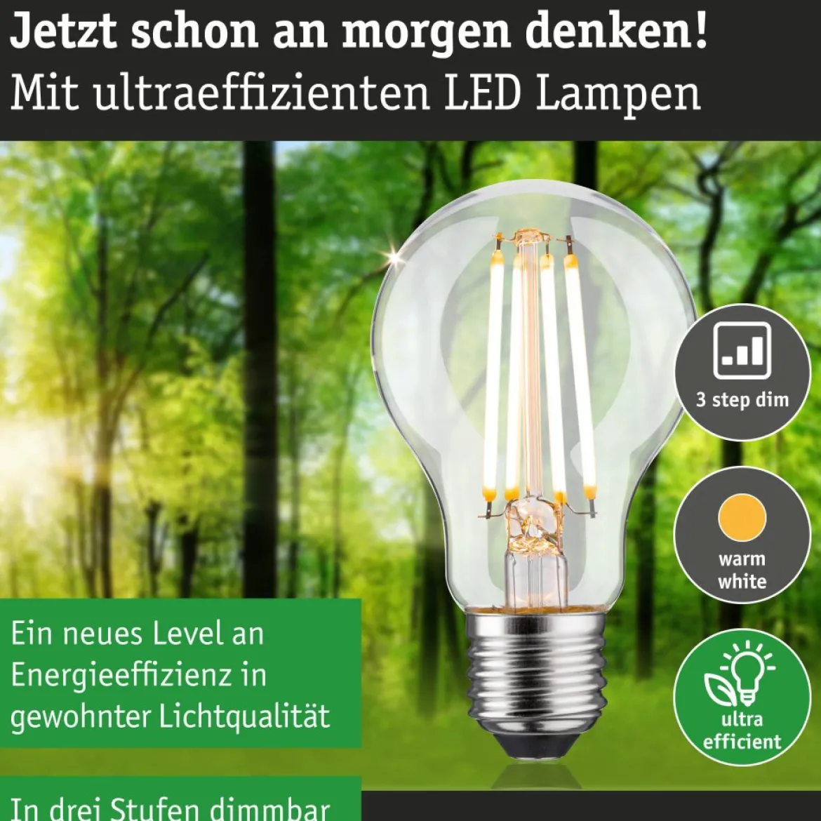 Paulmann 29252 Eco-Line Filament 230V LED Birne E27 1055lm 3000K 3-Step-Dim Klar