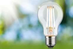 Paulmann 29253 Eco-Line Filament 230V LED Birne E27 1521lm 3000K 3-Step-Dim Klar