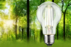 Paulmann 29254 Eco-Line Filament 230V LED Birne E27 806lm 4000K 3-Step-Dim Klar