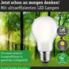Paulmann 29257 Eco-Line Filament 230V LED Birne E27 1055lm 3000K 3-Step-Dim Matt