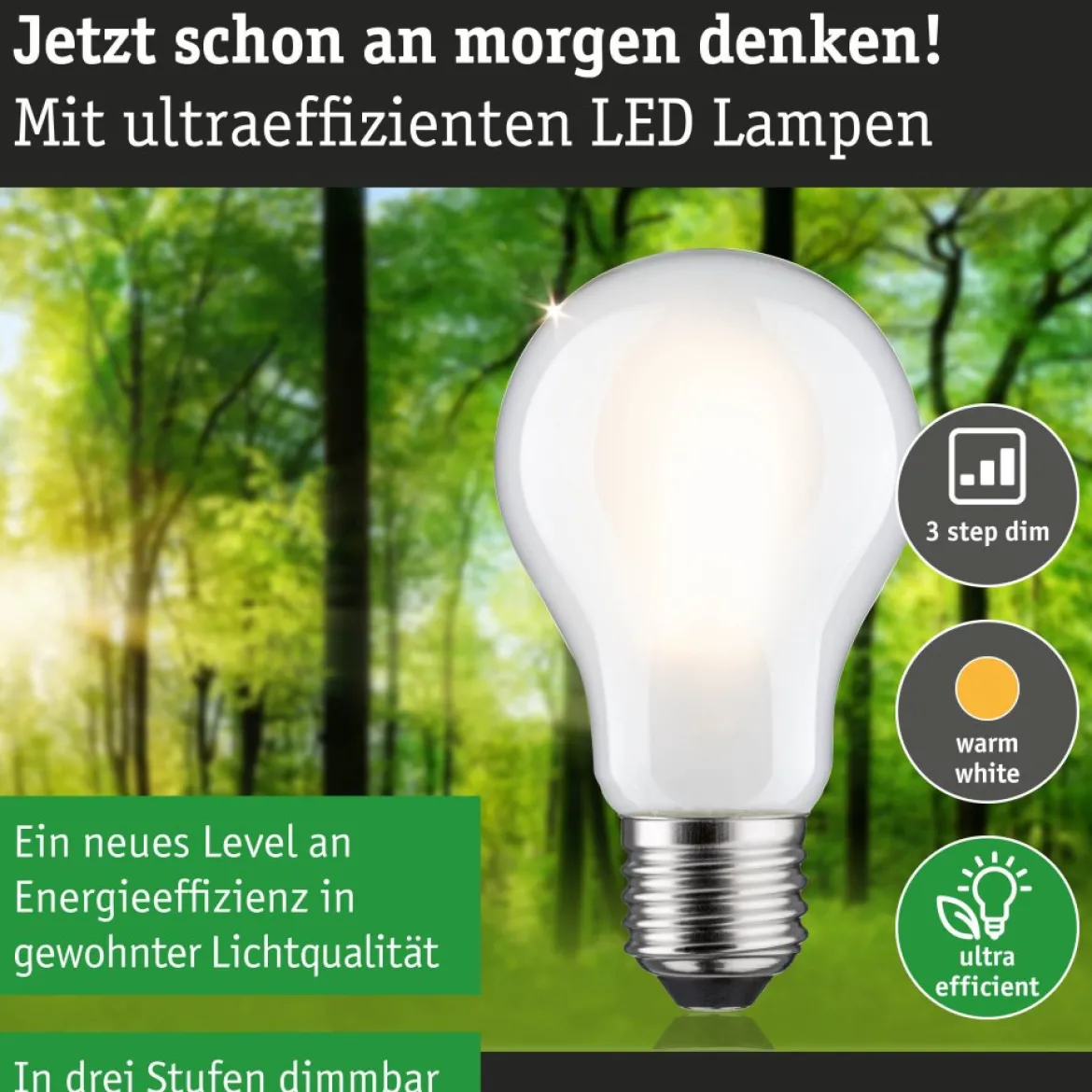 Paulmann 29257 Eco-Line Filament 230V LED Birne E27 1055lm 3000K 3-Step-Dim Matt