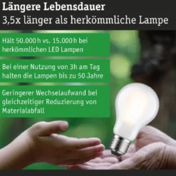 Paulmann 29257 Eco-Line Filament 230V LED Birne E27 1055lm 3000K 3-Step-Dim Matt
