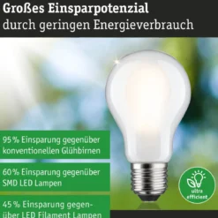 Paulmann 29257 Eco-Line Filament 230V LED Birne E27 1055lm 3000K 3-Step-Dim Matt