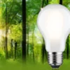 Paulmann 29258 Eco-Line Filament 230V LED Birne E27 1521lm 3000K 3-Step-Dim Matt