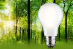 Paulmann 29258 Eco-Line Filament 230V LED Birne E27 1521lm 3000K 3-Step-Dim Matt