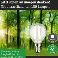 Paulmann 29204 Eco-Line Filament 230V LED Tropfen E14 840lm 4000K Klar
