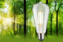 Paulmann 29249 Eco-Line LED Kolben ST64 E27 806lm 3000K 3-Step-Dim Klar