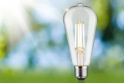 Paulmann 29249 Eco-Line LED Kolben ST64 E27 806lm 3000K 3-Step-Dim Klar