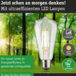 Paulmann 29249 Eco-Line LED Kolben ST64 E27 806lm 3000K 3-Step-Dim Klar
