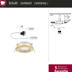 Paulmann 92403 Einbauleuchte LED Nova Plus schwenkbar 93mm gold IP65