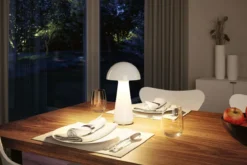 Paulmann 76995 LED Akkuleuchte Onzo 2700K IP44 3-Step-Dim weiß