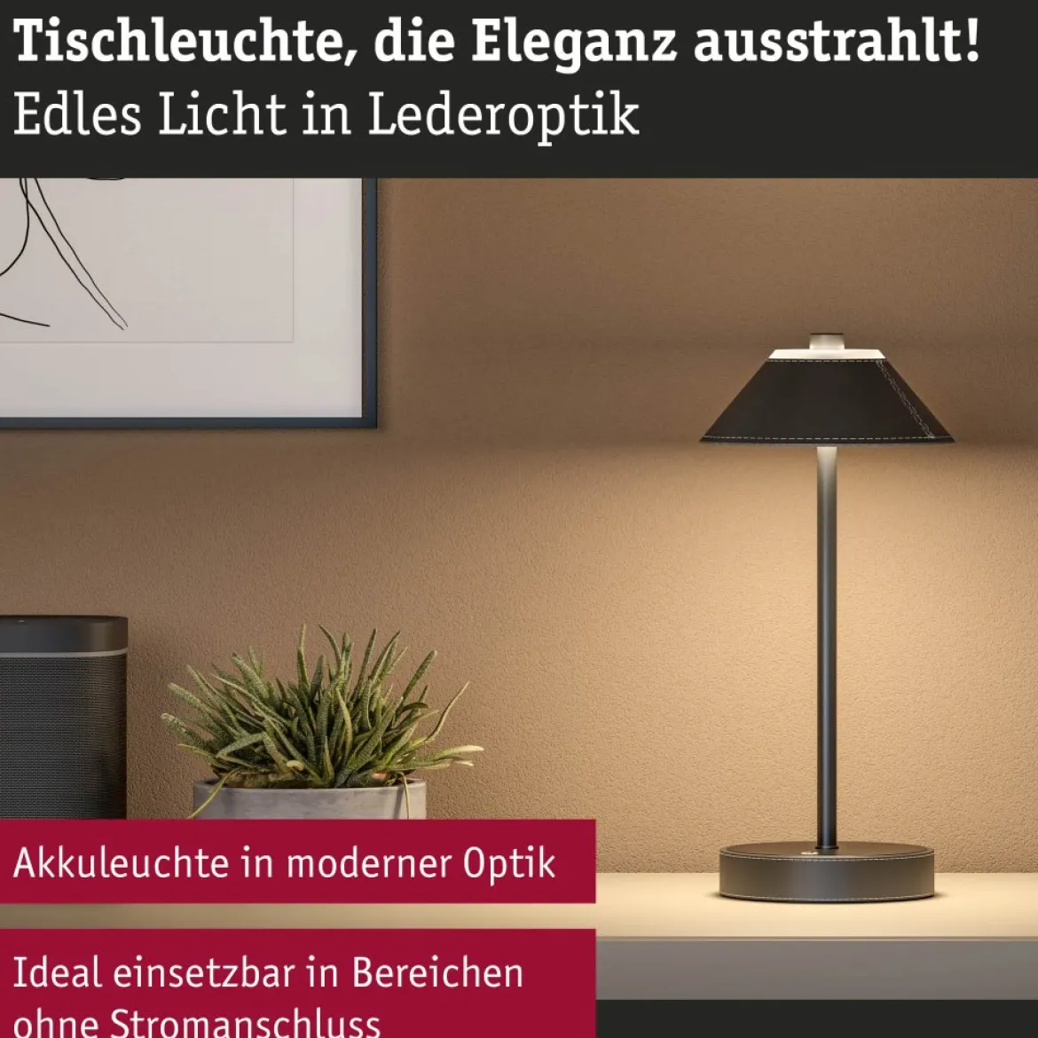 Paulmann 71173 LED Akkuleuchte Pellini 33cm White Switch dimmbar schwarz