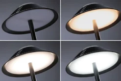 Paulmann 71173 LED Akkuleuchte Pellini 33cm White Switch dimmbar schwarz